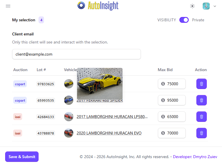 AutoInsight extension popup with private selection